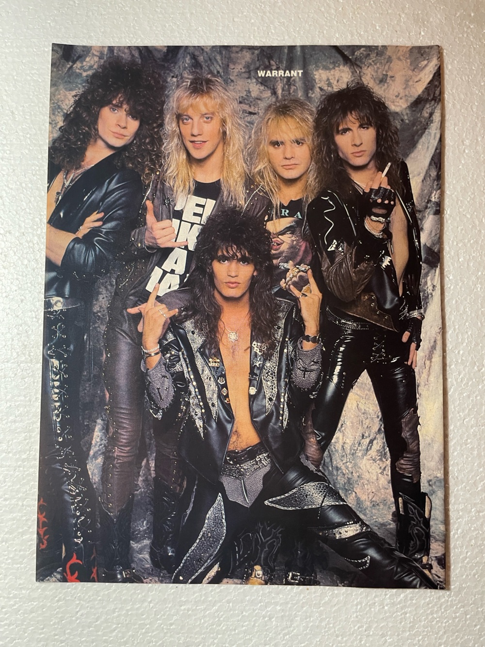Warrant Band Pinup - Black & Silver Rock Wall Art